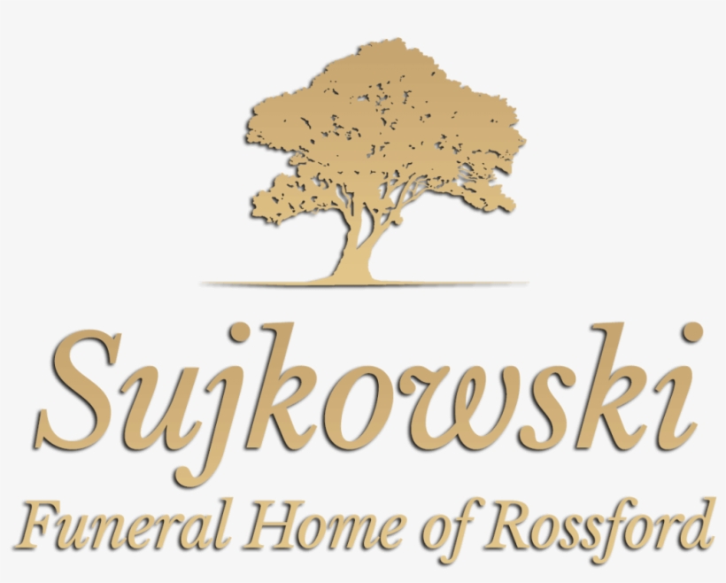 Site Image, transparent png