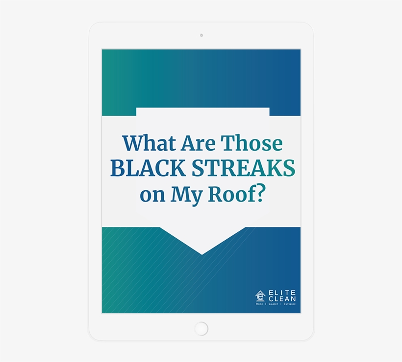 Black Streaks On Your Roof, transparent png