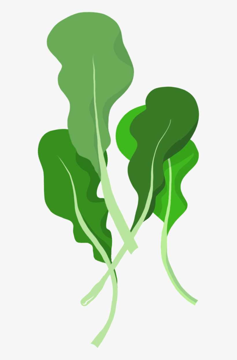 Vs, transparent png