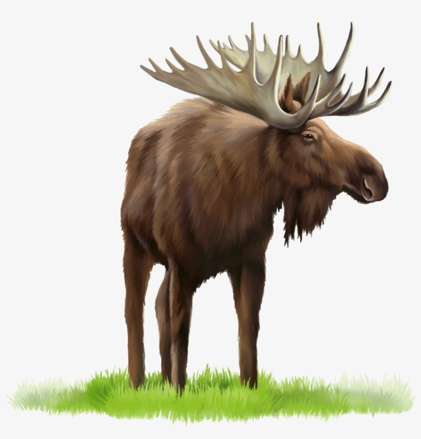 Free Png Elk Png Images Transparent, transparent png