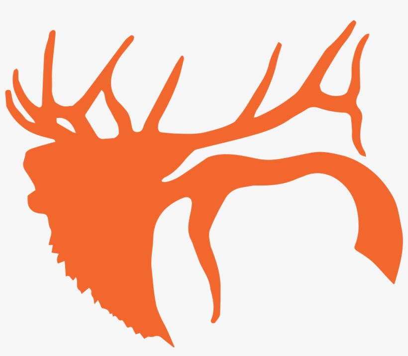 Elk, transparent png