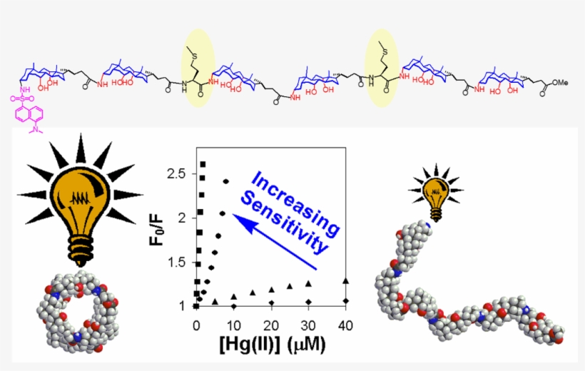 Membrane Transporters And Nanopores, transparent png