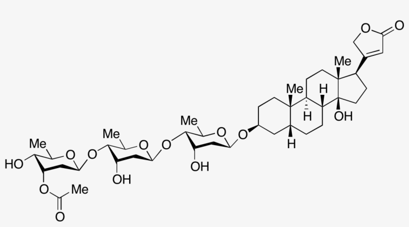 Specializing In Chemical And Biological Research Products, transparent png