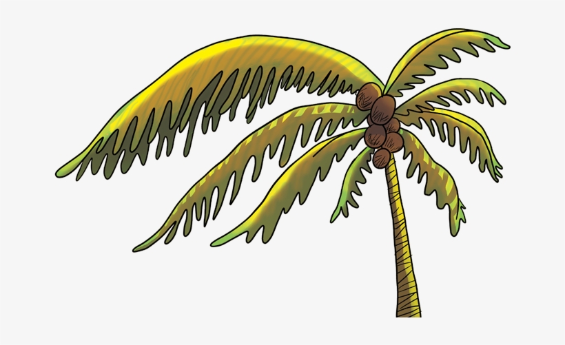 Coqueiro, transparent png