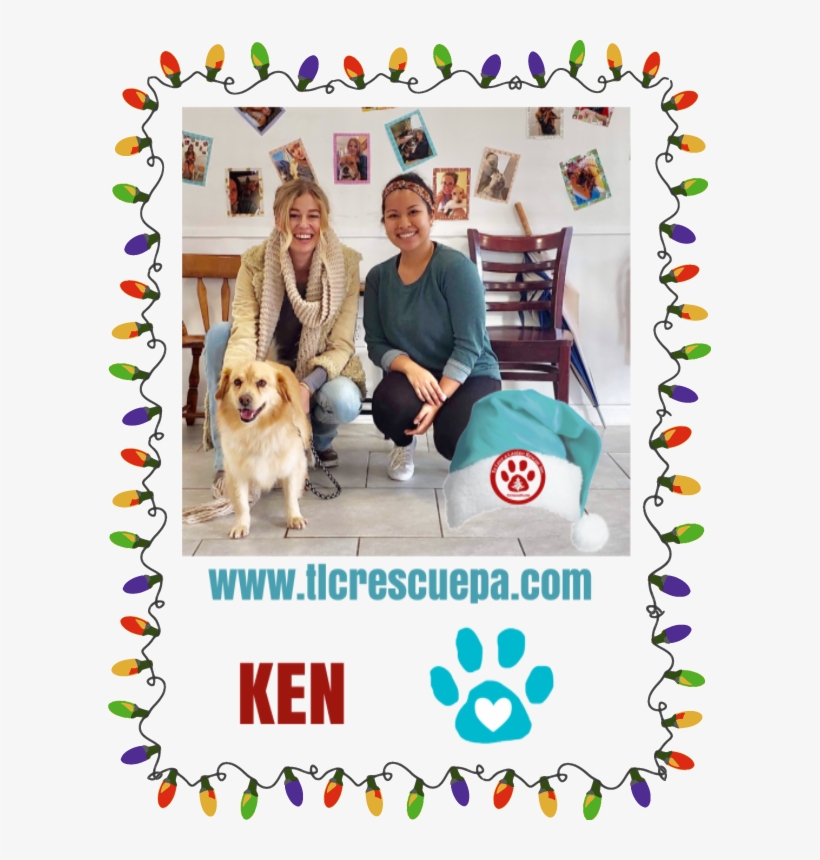 Ken - Png, transparent png