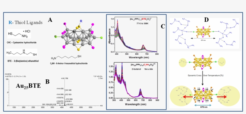 The Bi Icosahedron Structure Leading To Splitting Of, transparent png