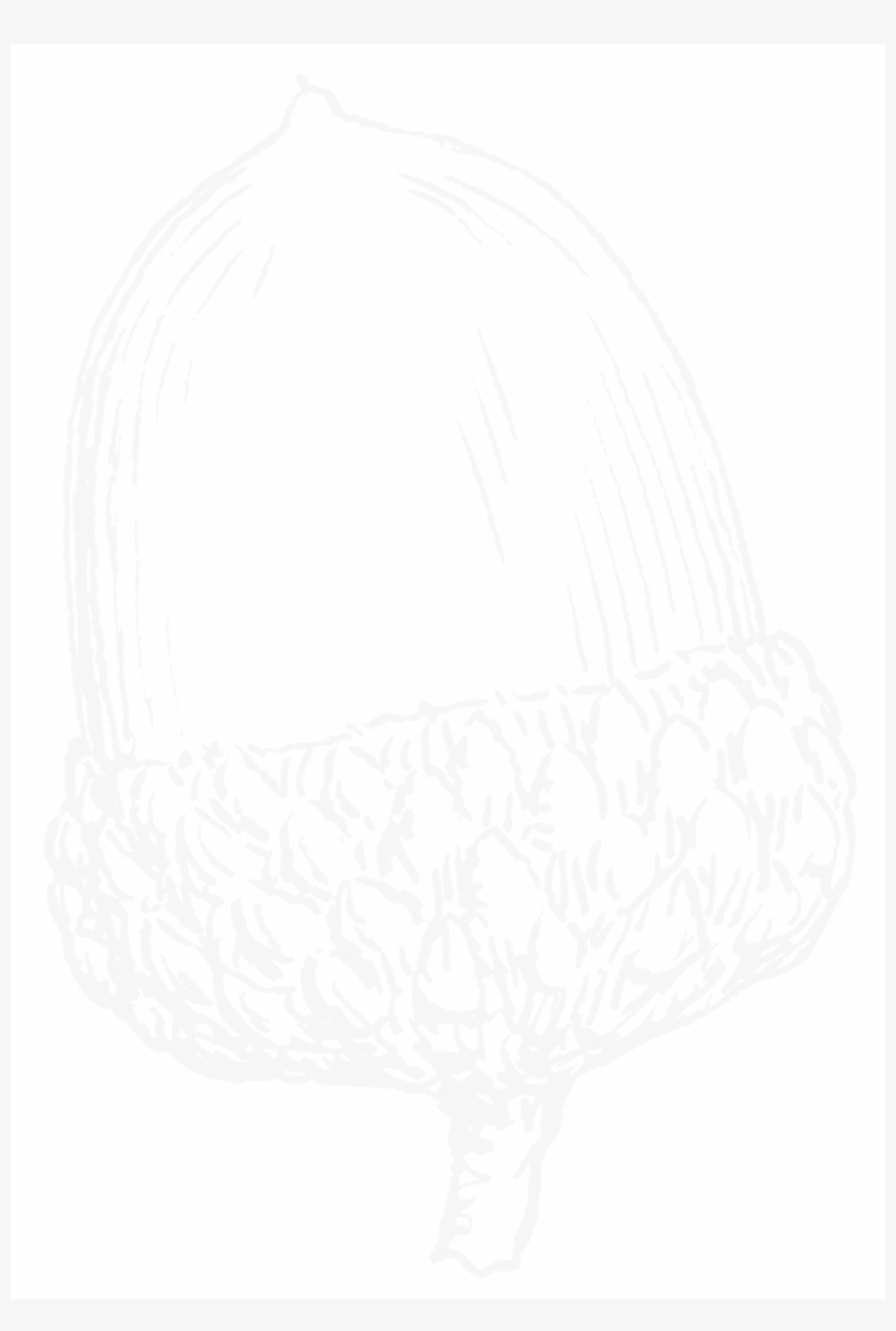 Png Acorn, transparent png