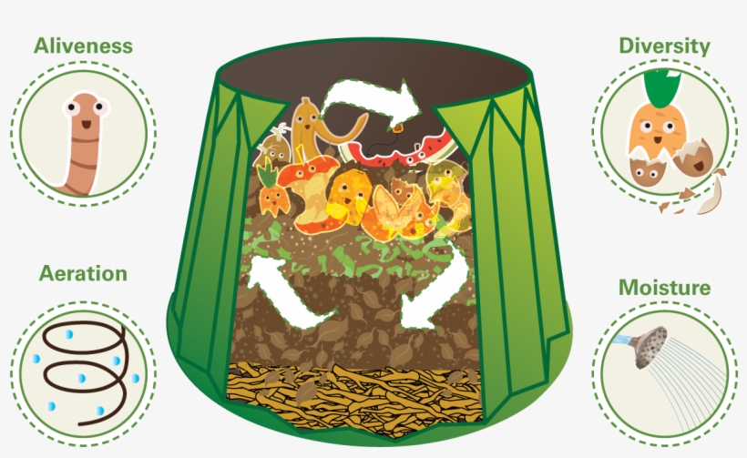 Diversity-key, transparent png