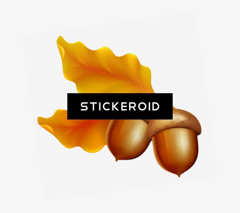 Acorn Nature, transparent png