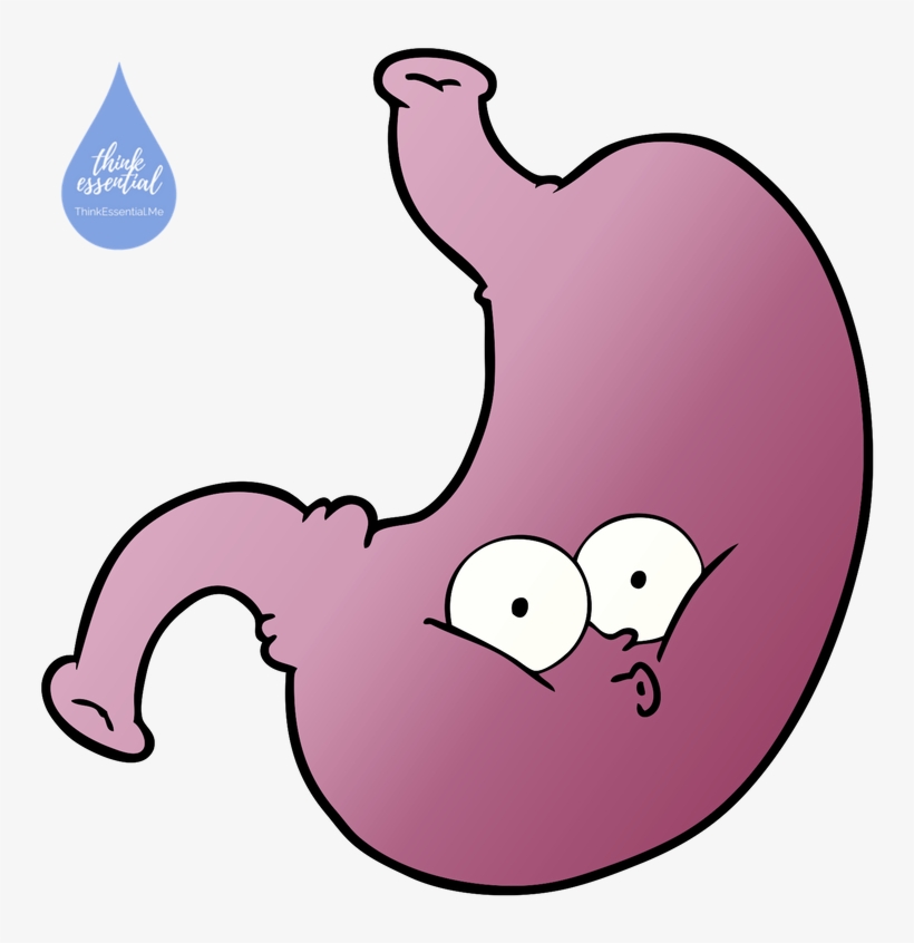 A Visit From The Bug Thinking Essential - Estomago Malo Caricatura, transparent png