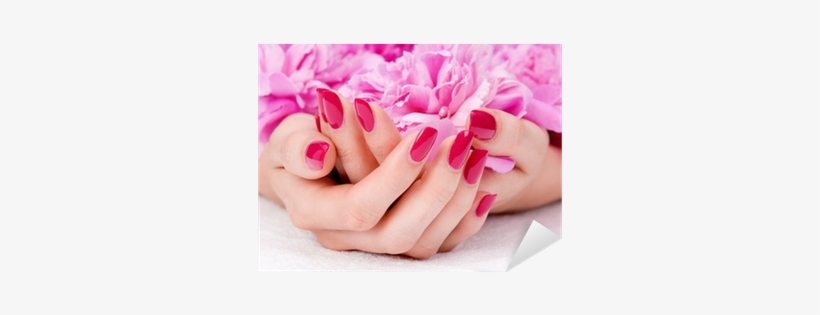 Woman Cupped Hands With Manicure Holding A Pink Flower - Classic Manicure And Pedicure, transparent png