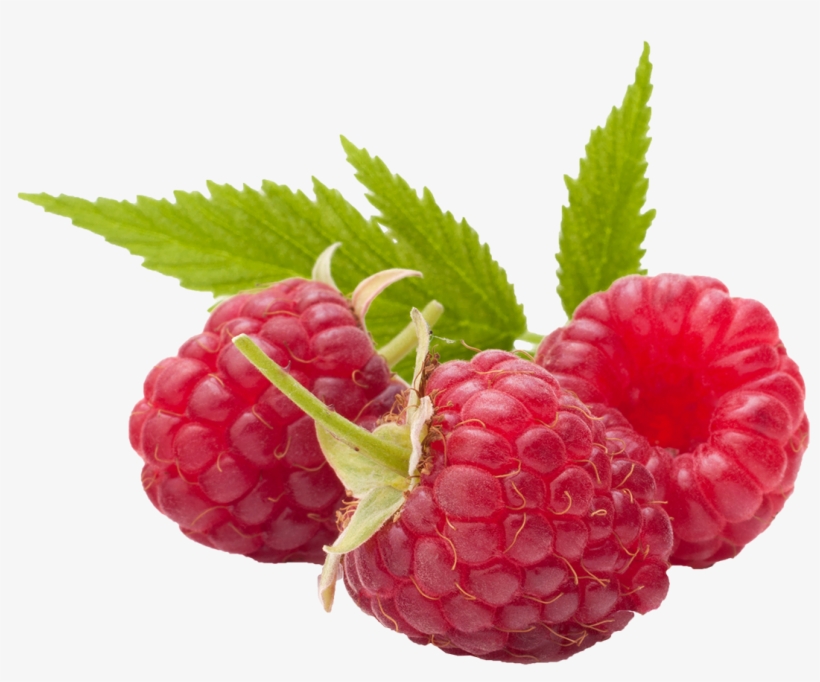 Wrapper Raspberries - Fruit + Chia Bar | Raspberry | 0.88 Oz | Zego, transparent png