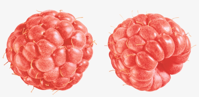 Raspberry Duo Vintage, transparent png