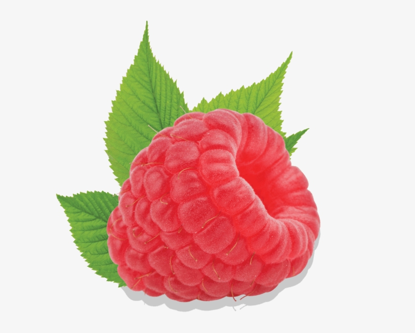 Raspberry - Hindbær Png, transparent png