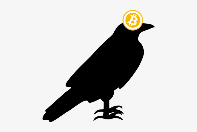About Crypto Ravens - Common Raven, transparent png