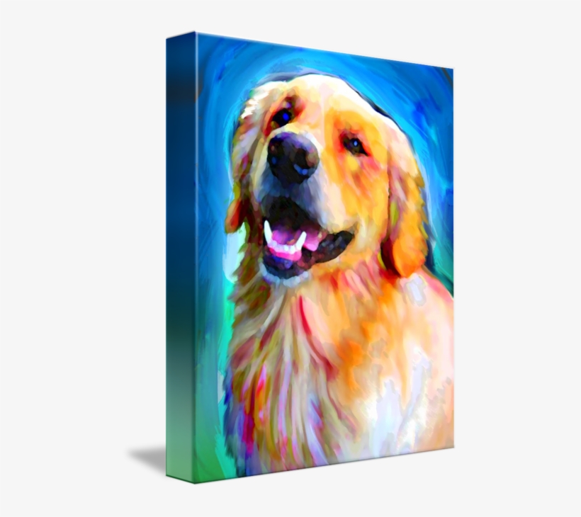 "golden Retriever" By David Corrente, // // Imagekind - Gallery-wrapped Canvas Art Print 11 X 14 Entitled Golden, transparent png
