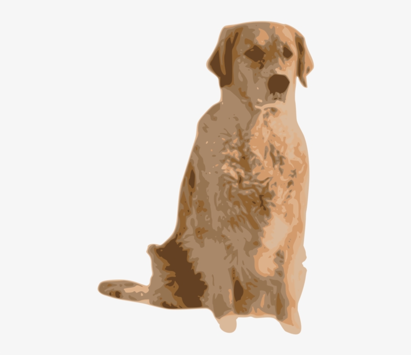 Golden Retriever Labrador Retriever Nova Scotia Duck - Golden Retriever, transparent png