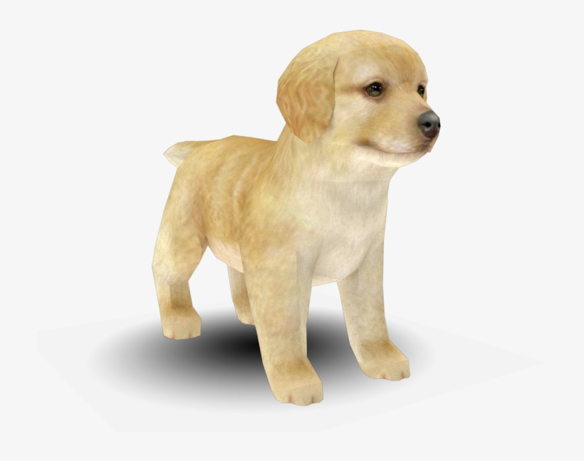 22023 - Nintendogs And Cats White Golden Retriever, transparent png