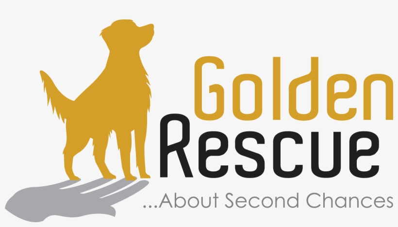 About Second Chances - Very Best Of Relaxing Classics, transparent png