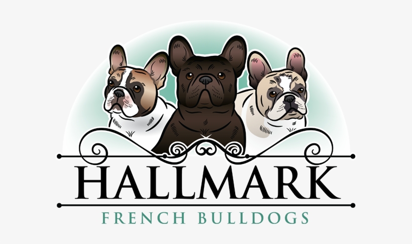 French Bulldog Logo Png, transparent png