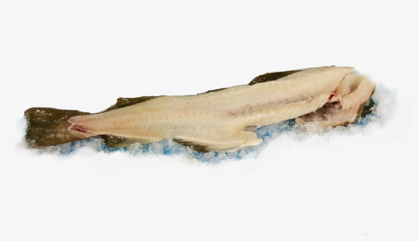 Lunge, transparent png