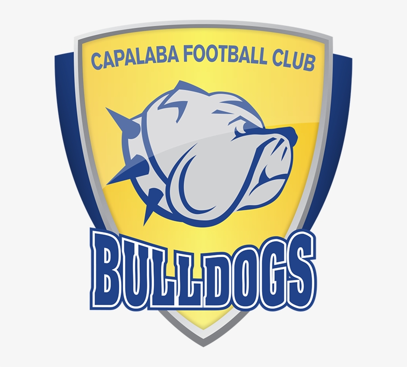 Bulldog Logo Png, transparent png
