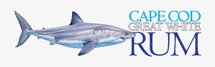 Ccgwrmapheader - Cape Cod, transparent png