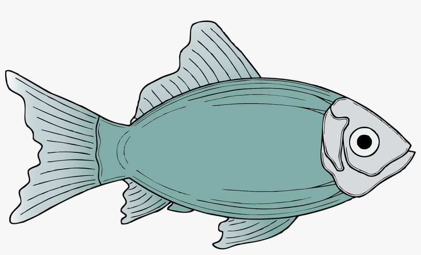 Generic Fish Clip Art - Fish Clipart, transparent png