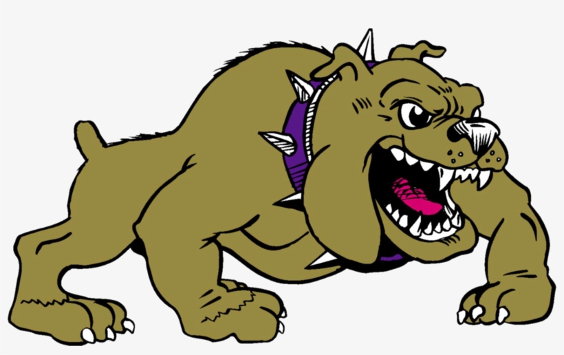 New Haven Bulldogs - Bulldog, transparent png