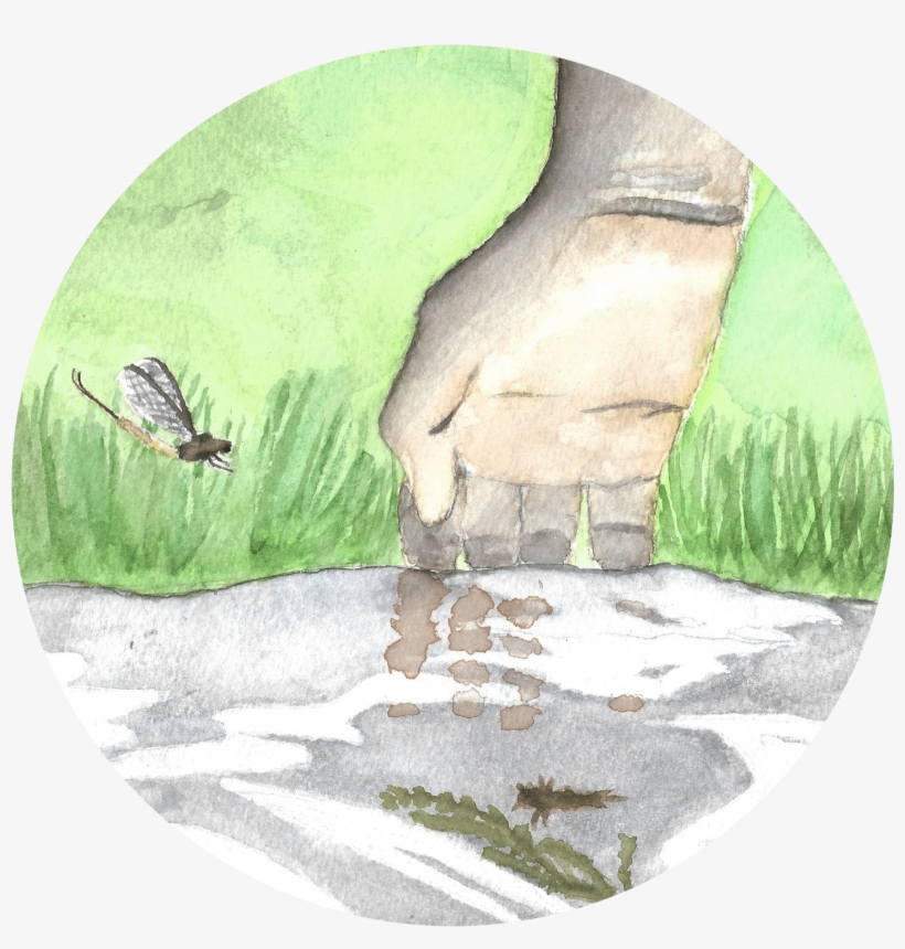 Leave A Comment On Liveing-rivers - Painting, transparent png