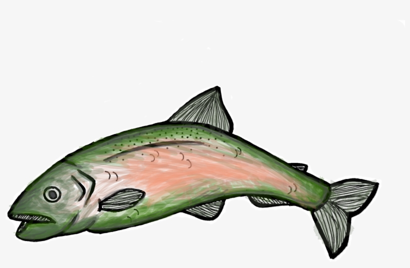 Bellingham Port Commissioner Michael Shepard Wrote - Coho, transparent png