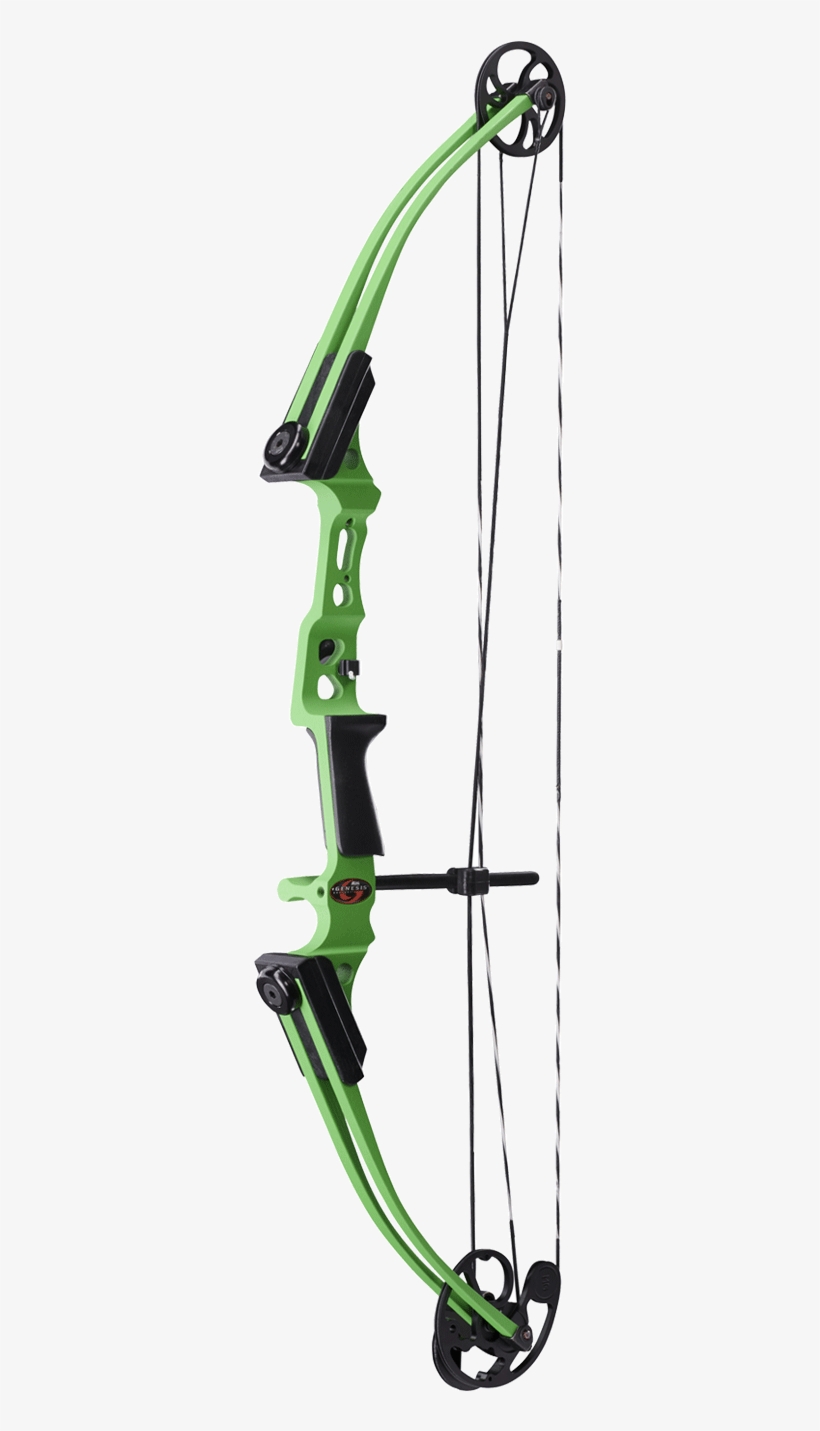 Learn More - Genesis Mini Bow - Lh Lost Camo, transparent png