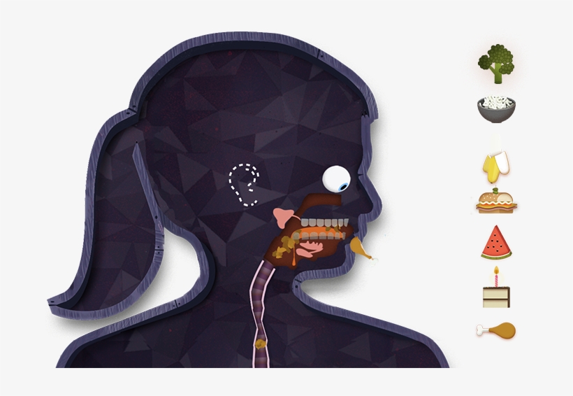 Feeding The Body - App For Digestive System, transparent png