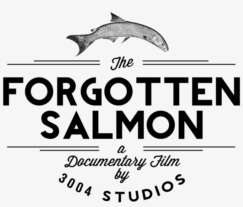 Logo Theforgottensalmon - User Guide, transparent png