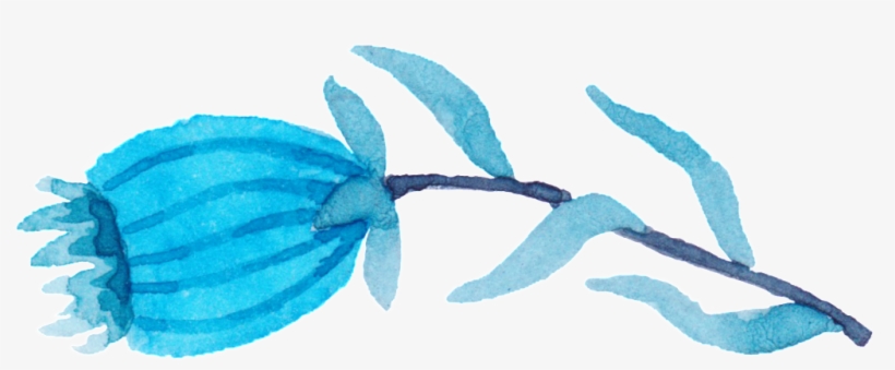 Poppy Flower Transparent Watercolor Hand-painted Decorative - Watercolor Painting, transparent png