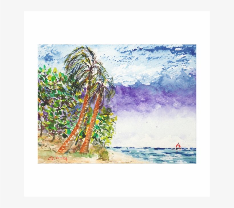 Lone Sail Boat & Palm Trees North Carolina Beach Stretched - Canvas, transparent png