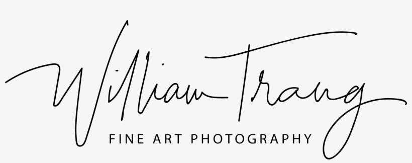 William Trang Photography William Trang Photography - Calligraphy, transparent png