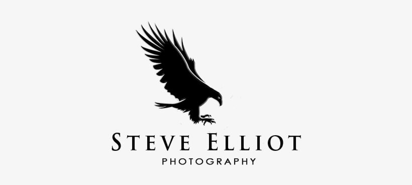 Logo Logo Logo - Logo, transparent png