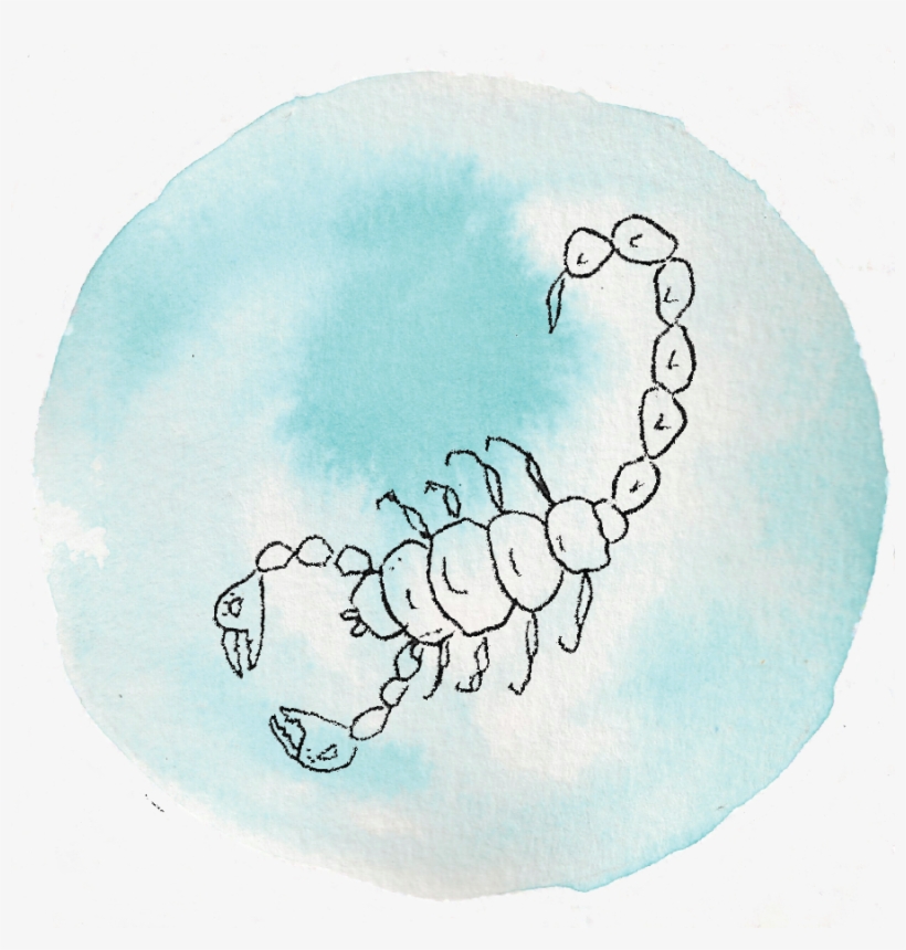 Scorpio - Plate, transparent png