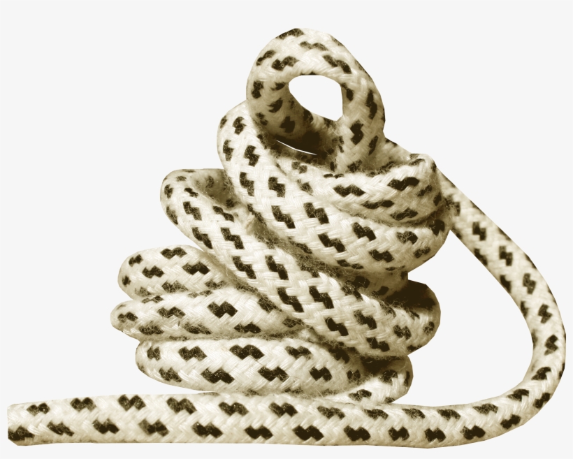 0 139ac7 E348892b Orig - Eastern Brown Snake, transparent png