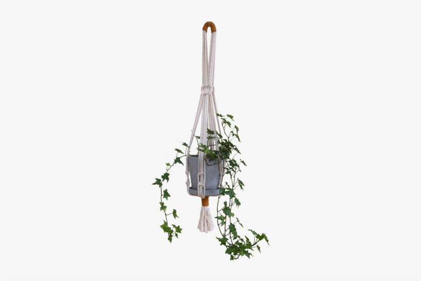 Modern Macrame Planter Hanger - Macrame Plant Hanger Png, transparent png