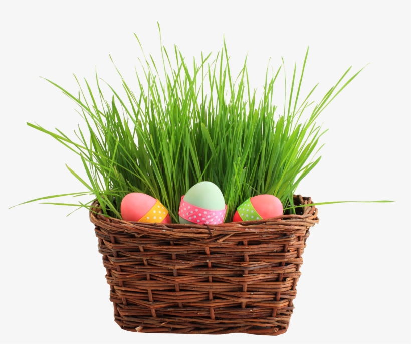 Easter Egg Basket Png Transparent Image - Happy Belated Birthday Kay, transparent png