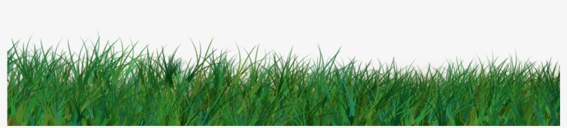 Easter Png Transparent Grass, transparent png