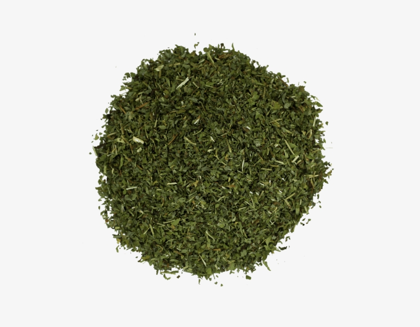 Red Clover Herb, transparent png