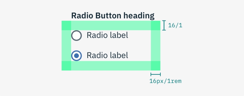 Structure And Spacing Measurements For A Radio Butto, transparent png