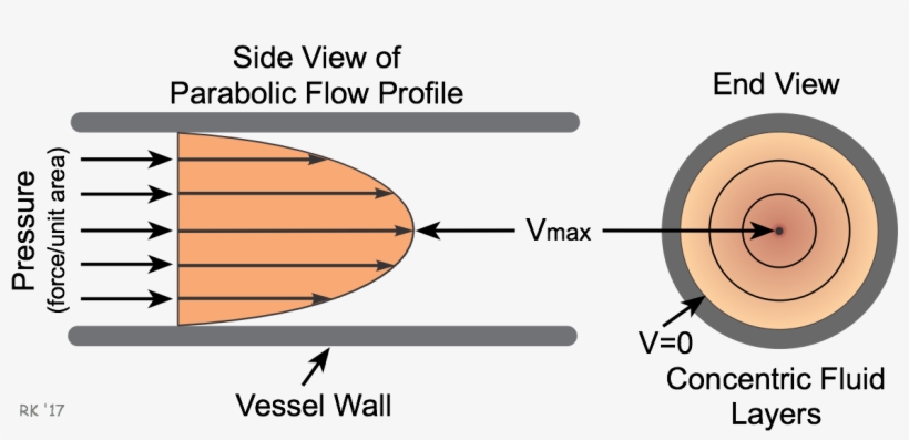 One Practical Implication Of Parabolic, Laminar Flow, transparent png