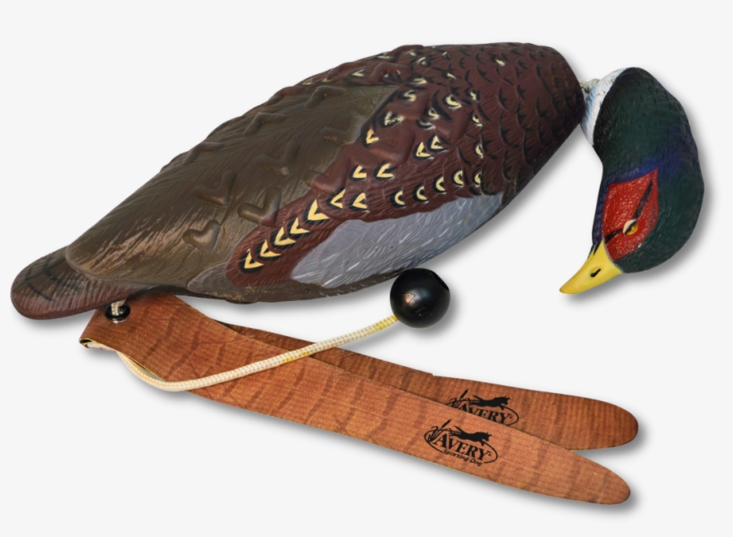 Image Of The Pheasant Ez Bird, transparent png