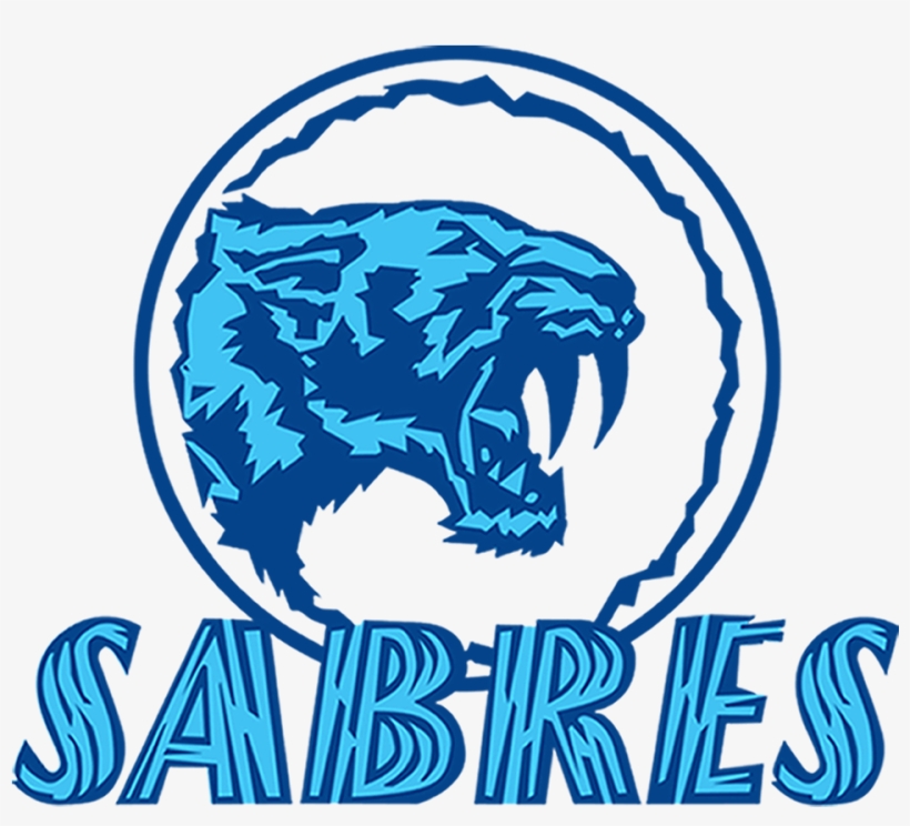 Sabres Logo Png, transparent png