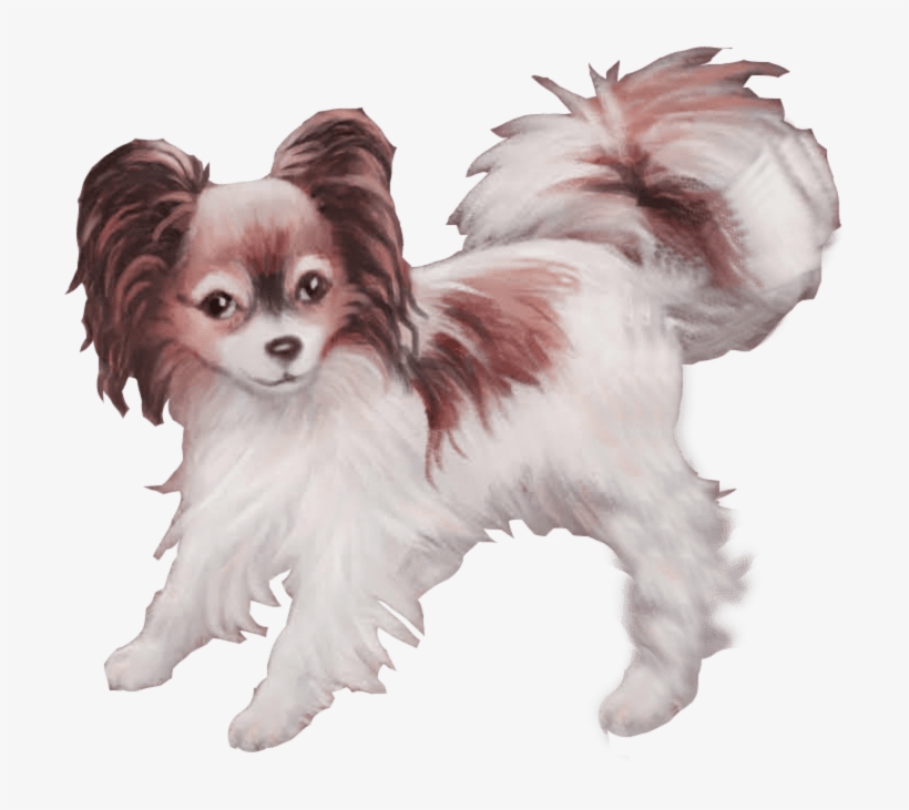 Playing With Bon Bon Fire Image, transparent png