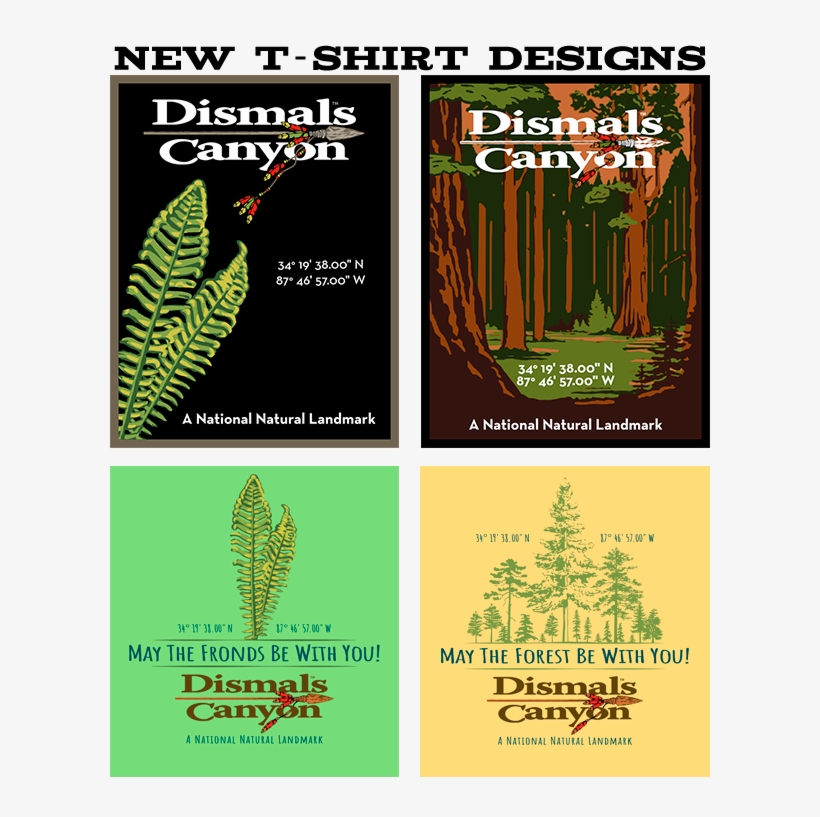 New T-shirts, transparent png